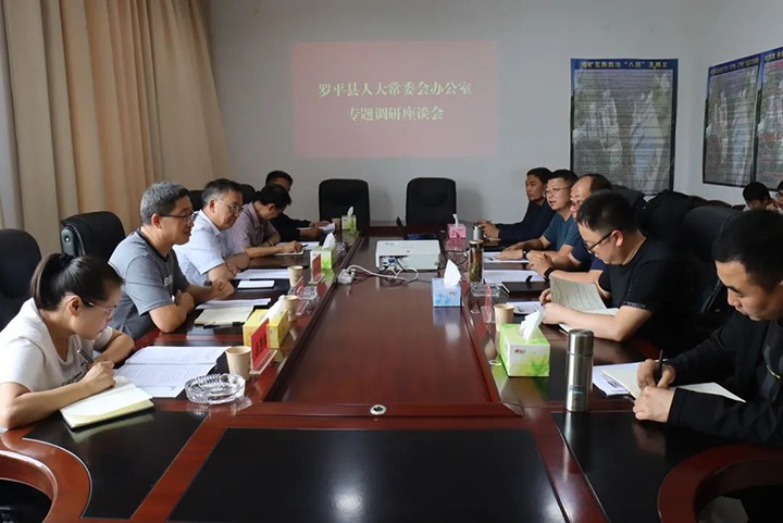 【聚焦918博天堂·(中国区)官方网站】罗平县人大常委会副主任蒋友贵一行到罗平东城公司开展专题调研